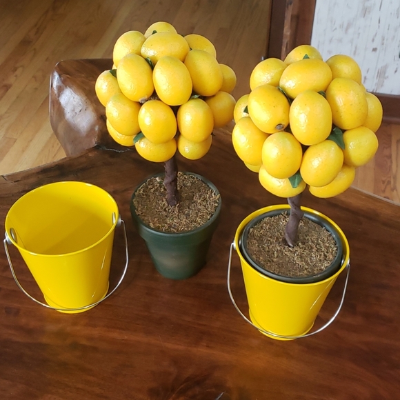 Other - Lemon trees w/buckets